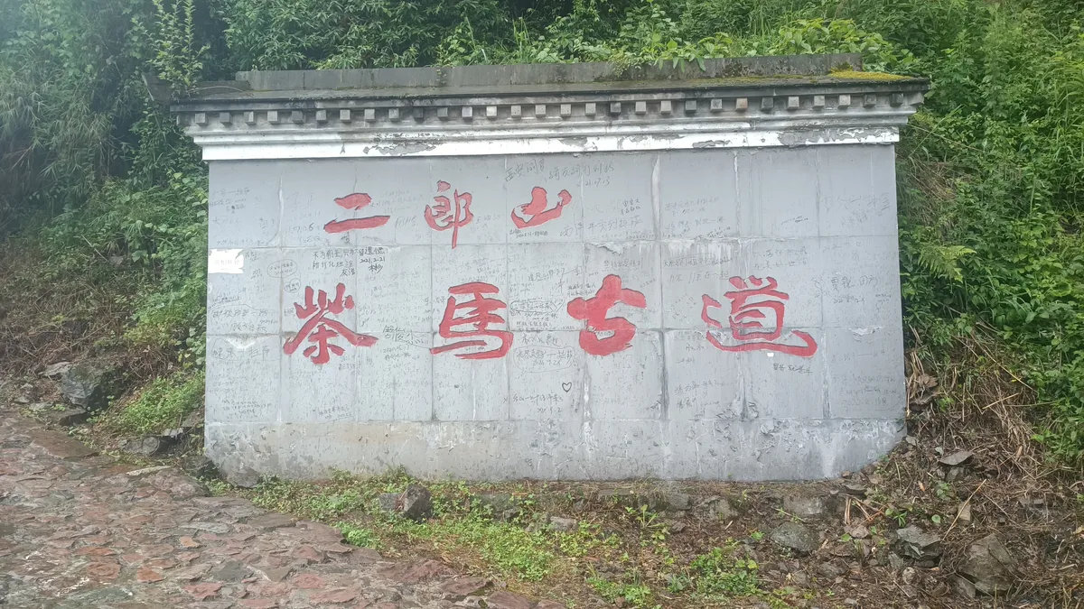 2022年5月13日深圳出发骑行318川藏线第二天：雅安到新沟90公里